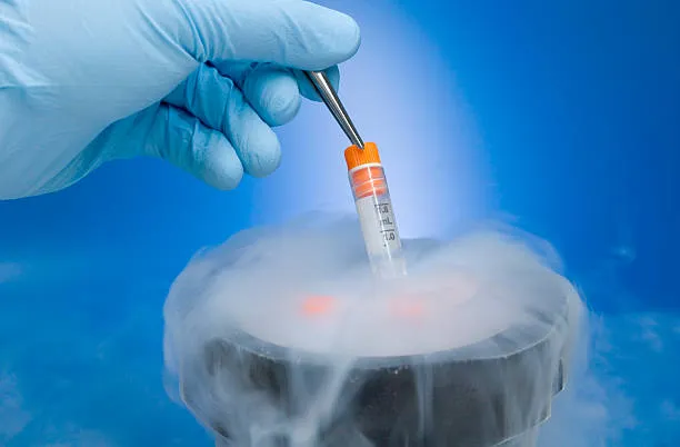 The Future of Fertility: Cryopreservation for Mothers