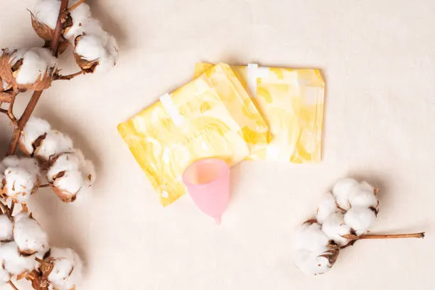 A Journey Through the History of Menstrual Products